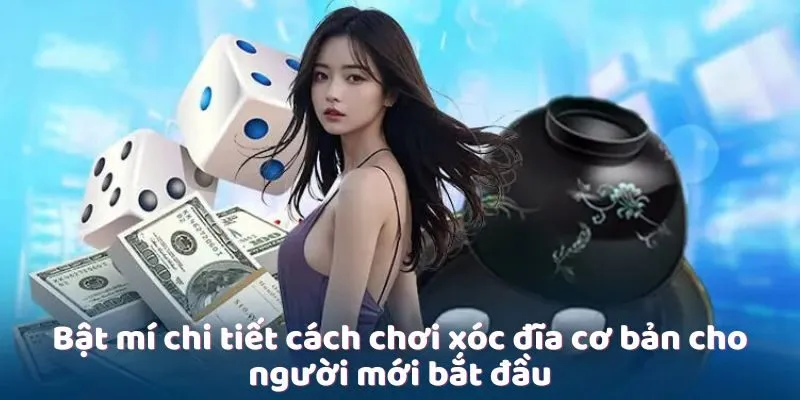 Bật mí chi tiết cách chơi xóc đĩa cơ bản cho người mới bắt đầu Bật mí chi tiết cách chơi xóc đĩa cơ bản cho người mới bắt đầu
