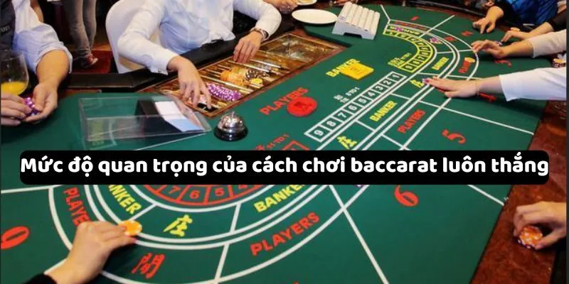 Mức độ quan trọng của cách chơi baccarat luôn thắng Mức độ quan trọng của cách chơi baccarat luôn thắng