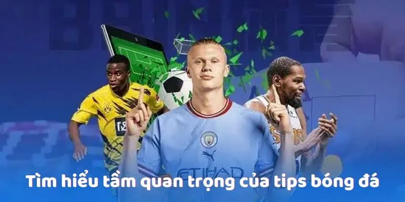 Tìm hiểu tầm quan trọng của tips bóng đá Tìm hiểu tầm quan trọng của tips bóng đá